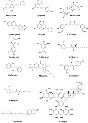 Peroxisome proliferator-activated receptor gamma and its natural agonists in the treatment of kidney diseases